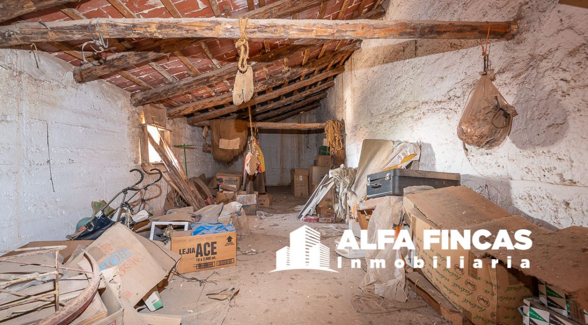 DSC_5441
