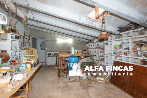 DSC_6267