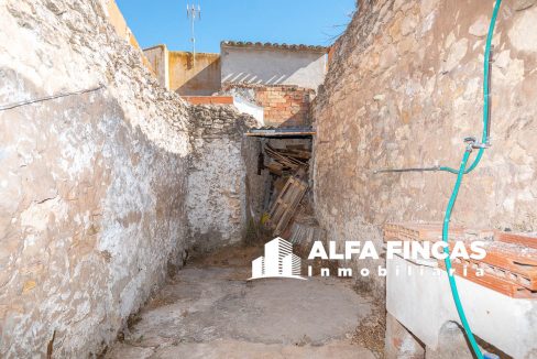 DSC_7397