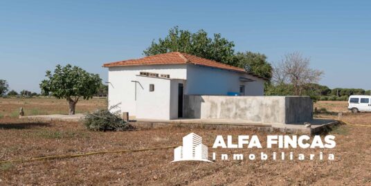Parcela rústica con casa en venta en San Clemente