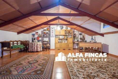 CASA CON PATIO EN CASAS DE FERNANDO ALONSO (14)