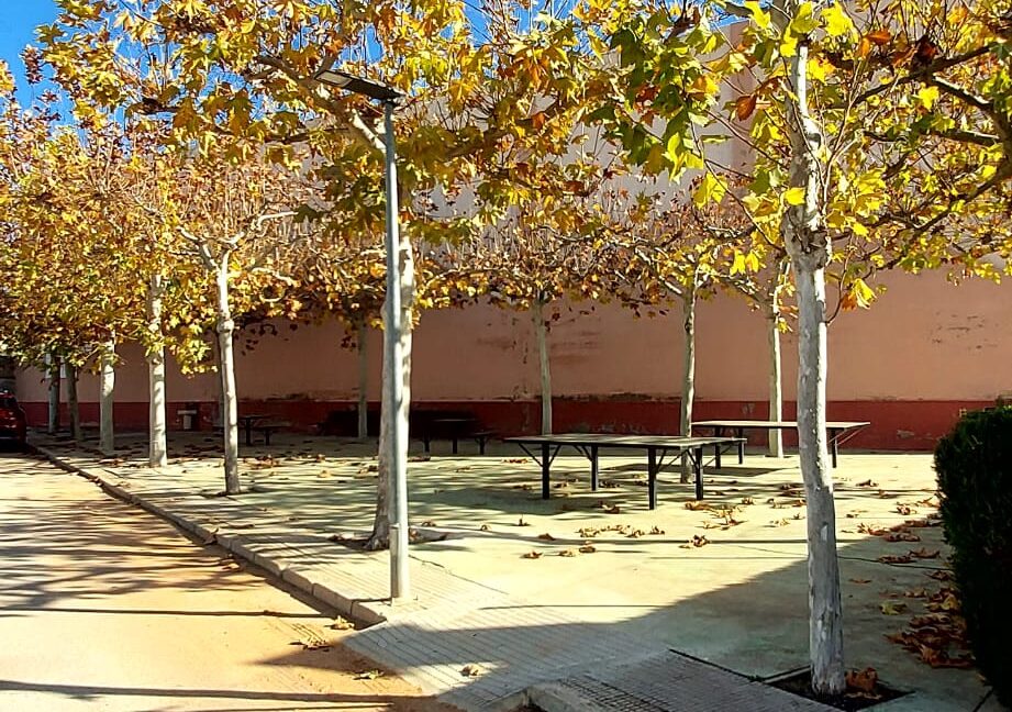 SOLAR EN VENTA EN CASAS DE BENITEZ (13)