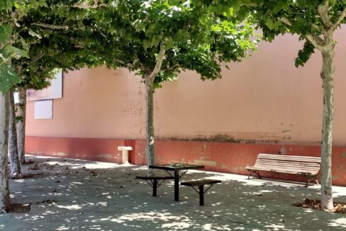 SOLAR EN VENTA EN CASAS DE BENITEZ (14)