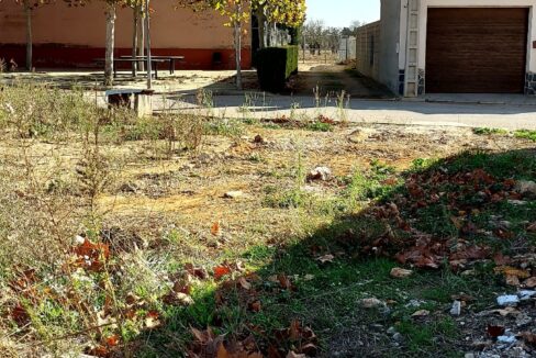 SOLAR EN VENTA EN CASAS DE BENITEZ (2)
