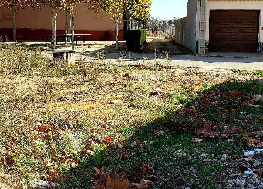 SOLAR EN VENTA EN CASAS DE BENITEZ (2)