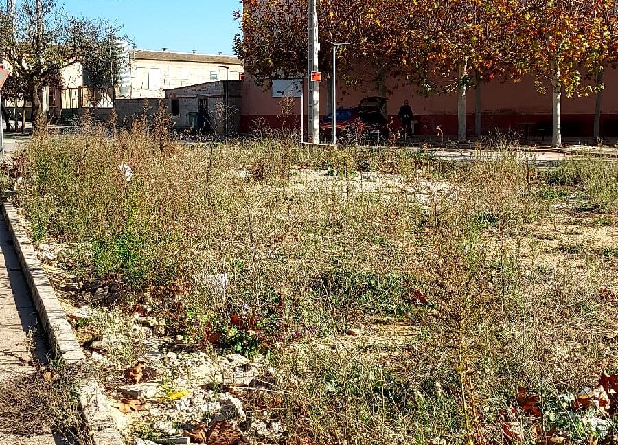 SOLAR EN VENTA EN CASAS DE BENITEZ (3)