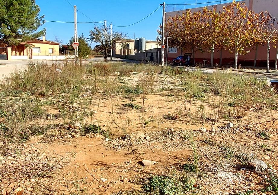 SOLAR EN VENTA EN CASAS DE BENITEZ (5)