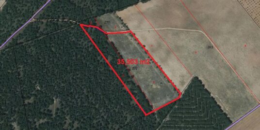 Parcela rústica en venta en San Clemente